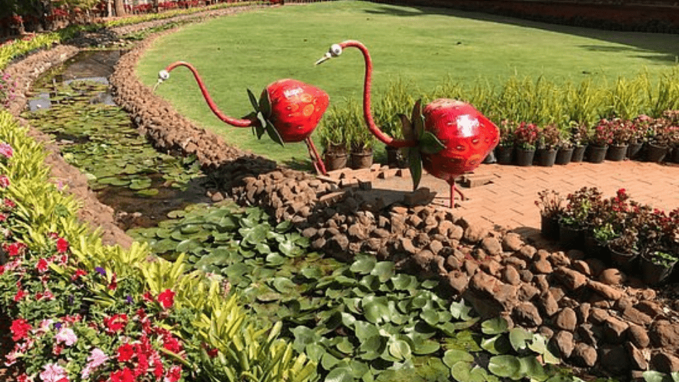 Mapro Garden Panchgani – Strawberry Farm & Food Paradise